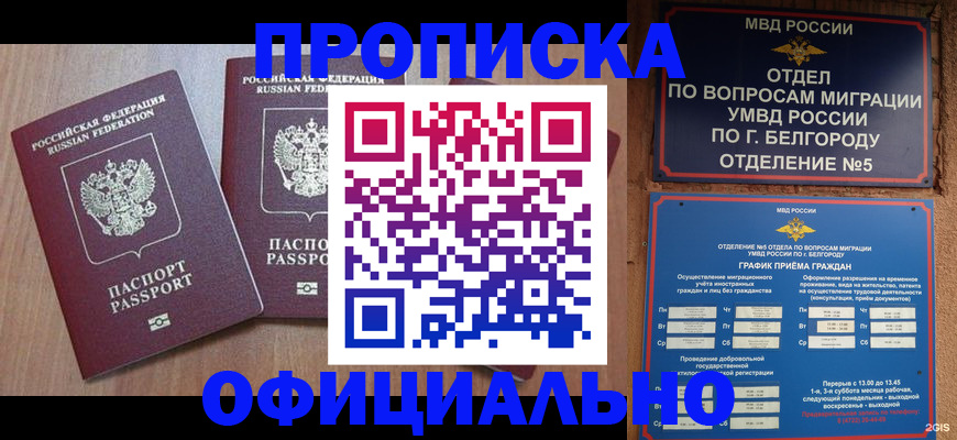 найти адрес прописки в Ермолино